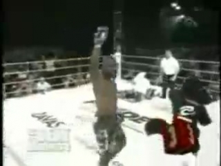 terrible knockout