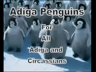 penguin and lezginka