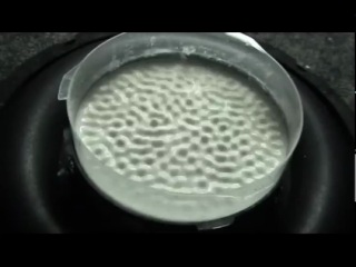 cymatics: experiment