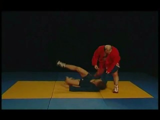 combat sambo