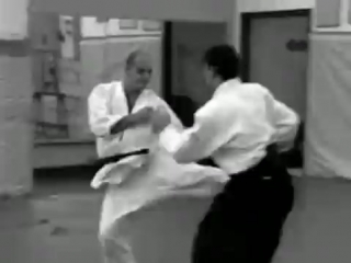 aikido vs. karate