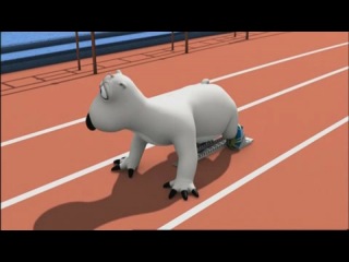 bear bernard - sprint