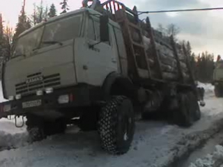 timber trucks