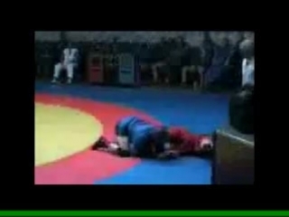 wrestling sambo throws